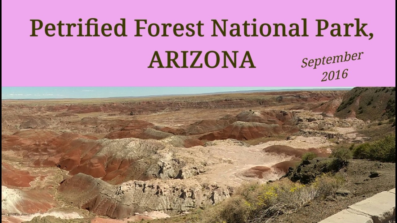 Arizona Petrified Forest National Park 2016