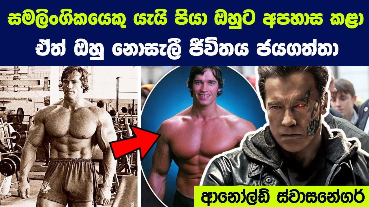 ආනෝල්ඩ් ස්වාසනේගර් ගැන ඔබ කිසිදා නොඇසූ පුදුම දේවල් 08ක් |Things You Didn't Know About Schwarzenegger