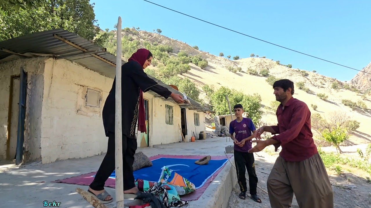 Farm irrigation and cultivation with Heydar's help; the kids: group swimming in the pool