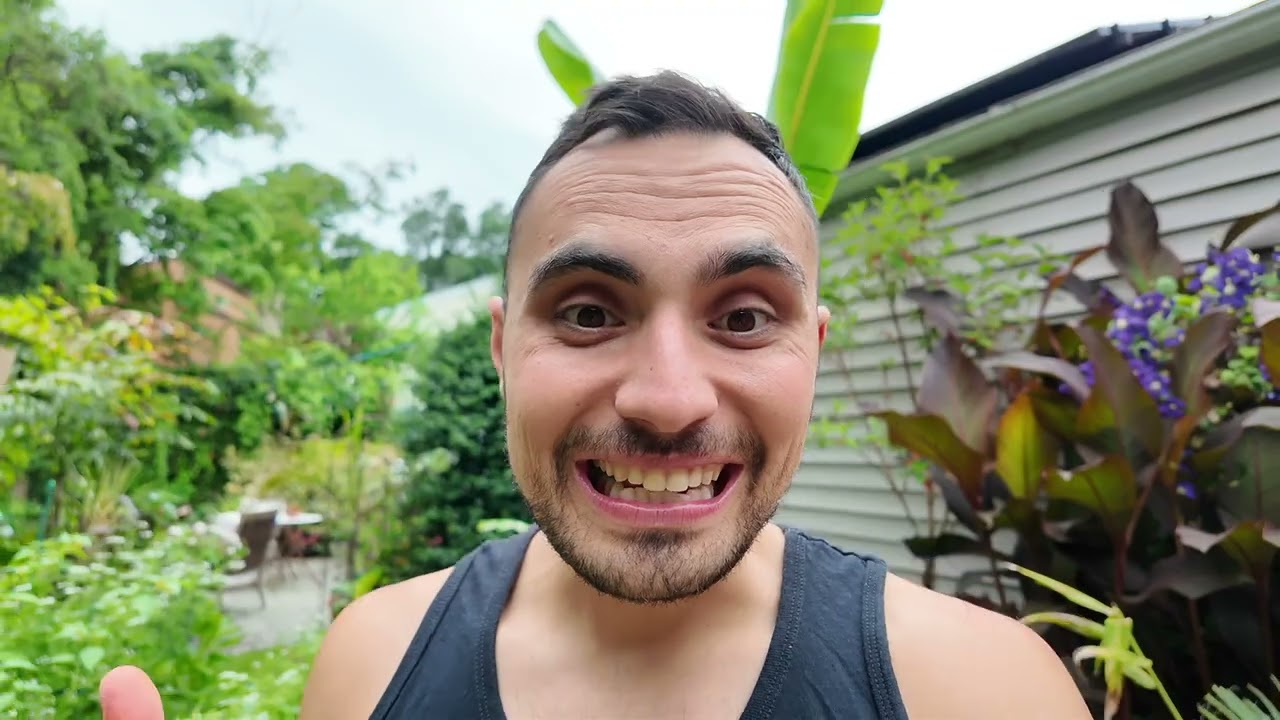 Growing Plumeria in New York - Early Summer Update
