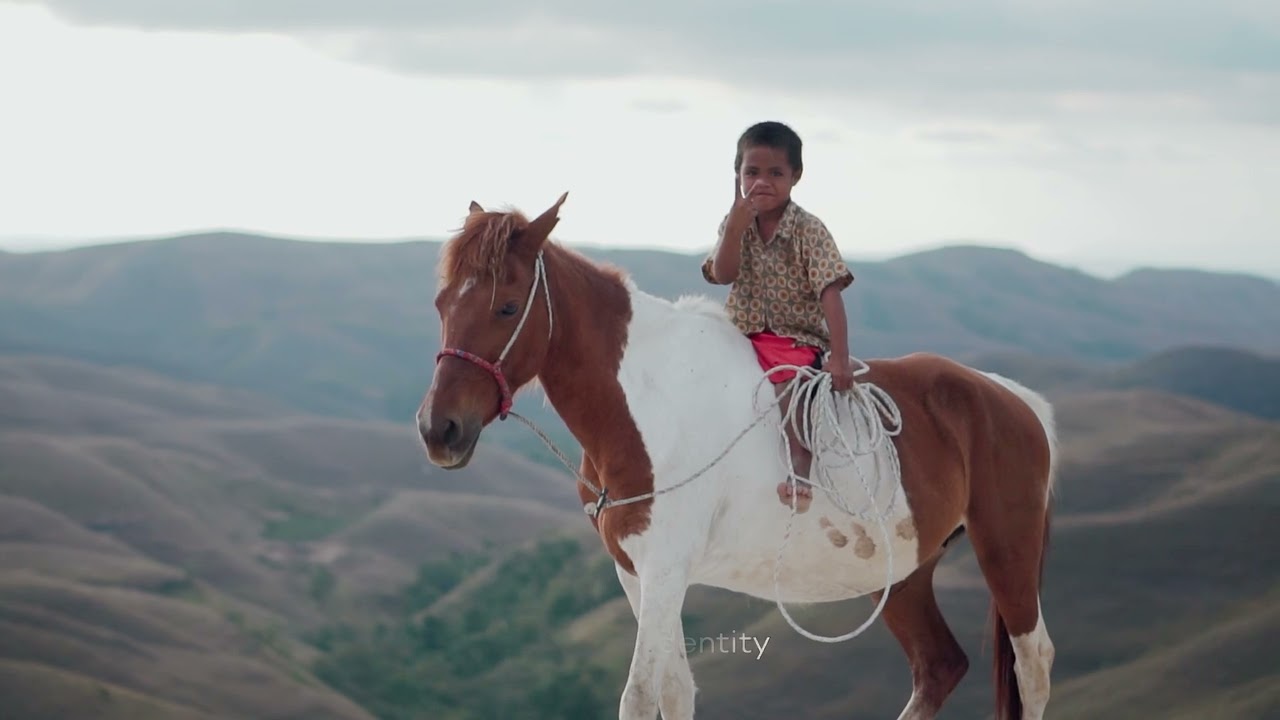 The Heart of Sumba: Culture, Tradition & Life Around ARYA SUMBA KODI Resort