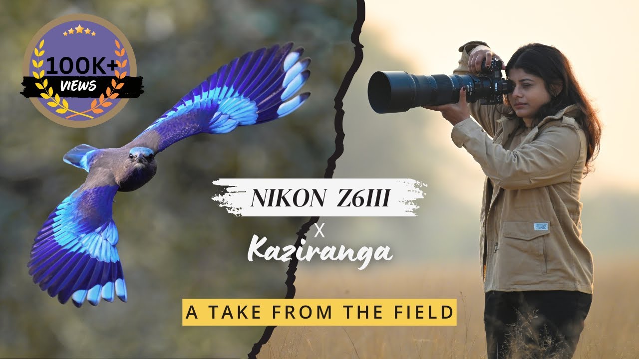 Nikon Z6III в Казиранге, Индия | Полевые испытания | Фото- и видеосъёмка дикой природы