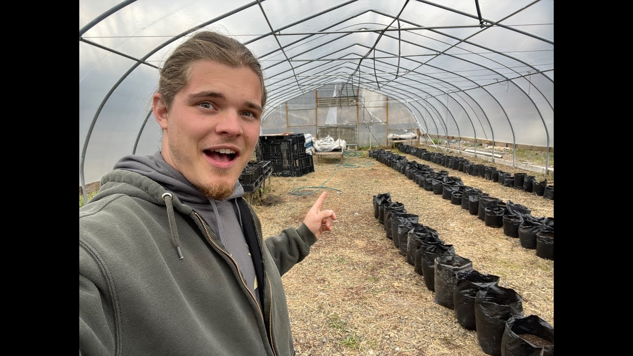 Week 2 update on progress of Hoophouse