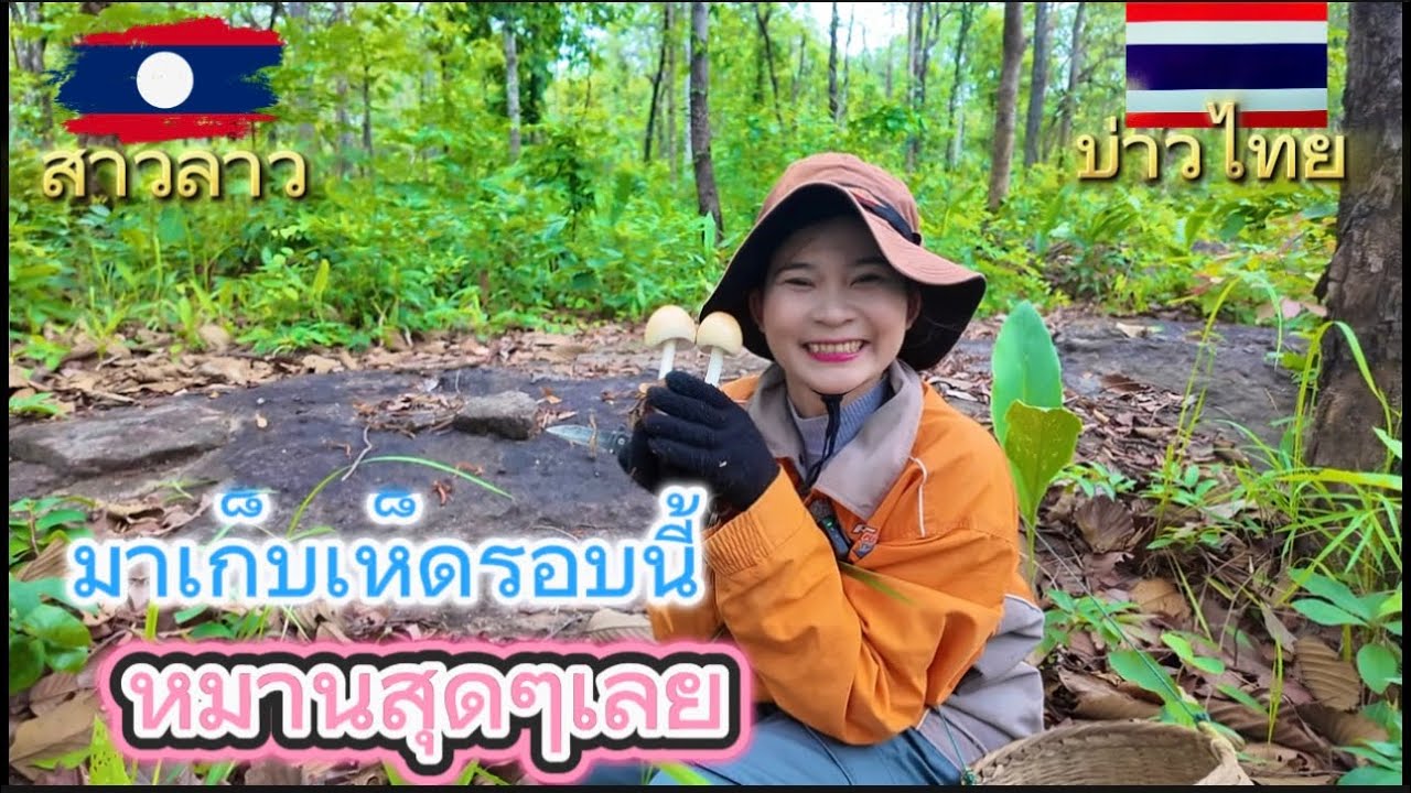 พาสาวลาวมาเก็บเห็ดรอบนี้ หมานสุดๆไปเลย