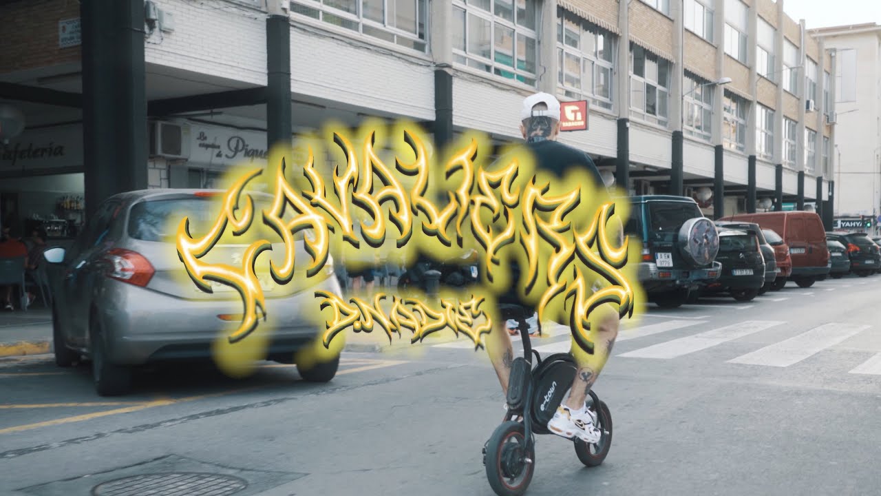 D.NADIE - CAVALIERS