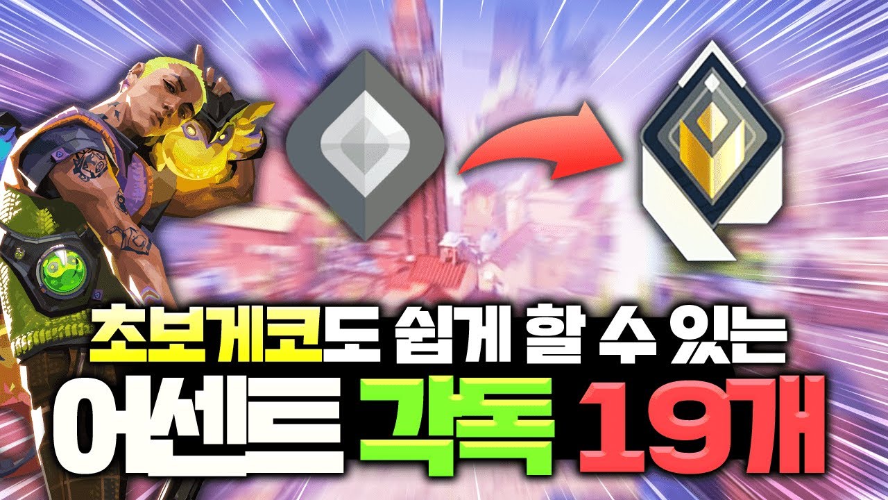 게코를 하시려면 무조건 봐야하는 실용성200% 어센트 각독과 꿀팁들