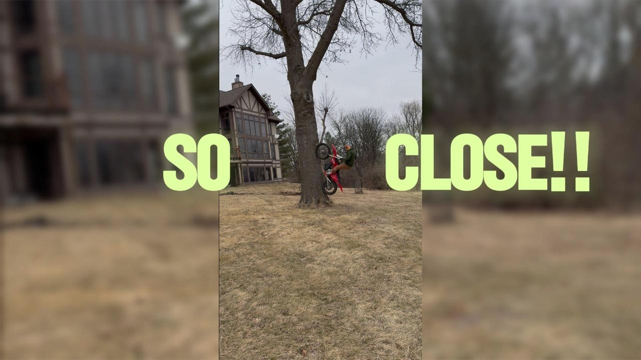 TREE JUMP / HIGH JUMP??