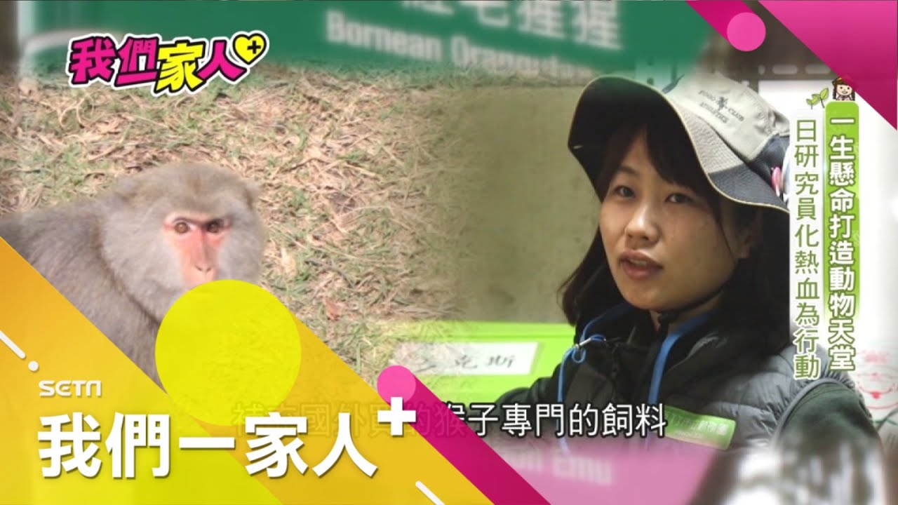 日本女孩岡元友實子跨海一起努力為動物打造快樂天堂!一生懸命用熱血化為行動｜李文儀 主持｜【我們一家人+】20200426 ｜ 三立新聞台 ｜移民署共同製播