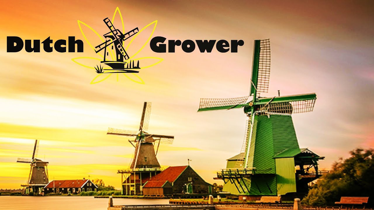 Dutch Grower&rsquo;s Grow Journal / Autopilot and Ledtalk / Season 3 Episode 6