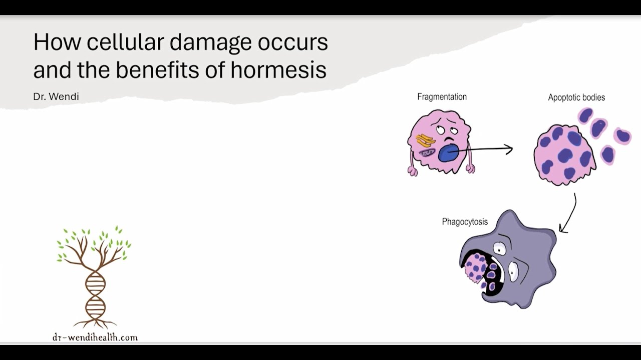 HORMESIS