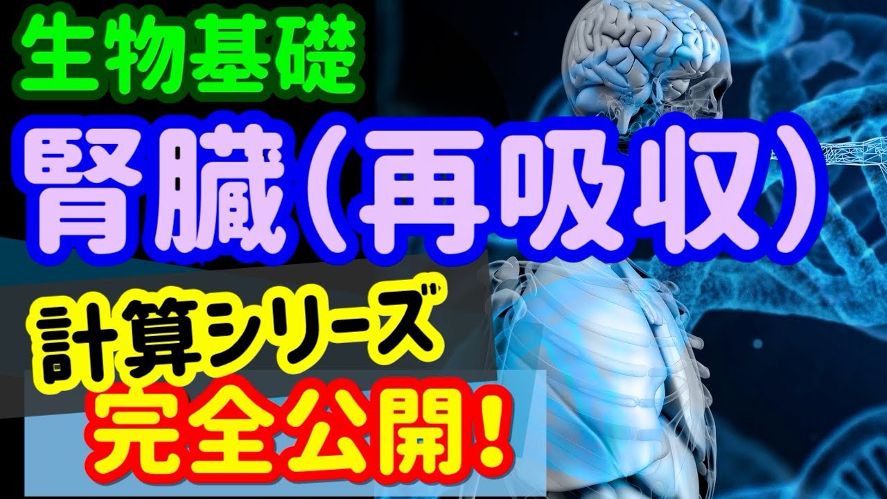 【高校生物計算14】腎臓での再吸収の計算を宇宙一わかりやすく