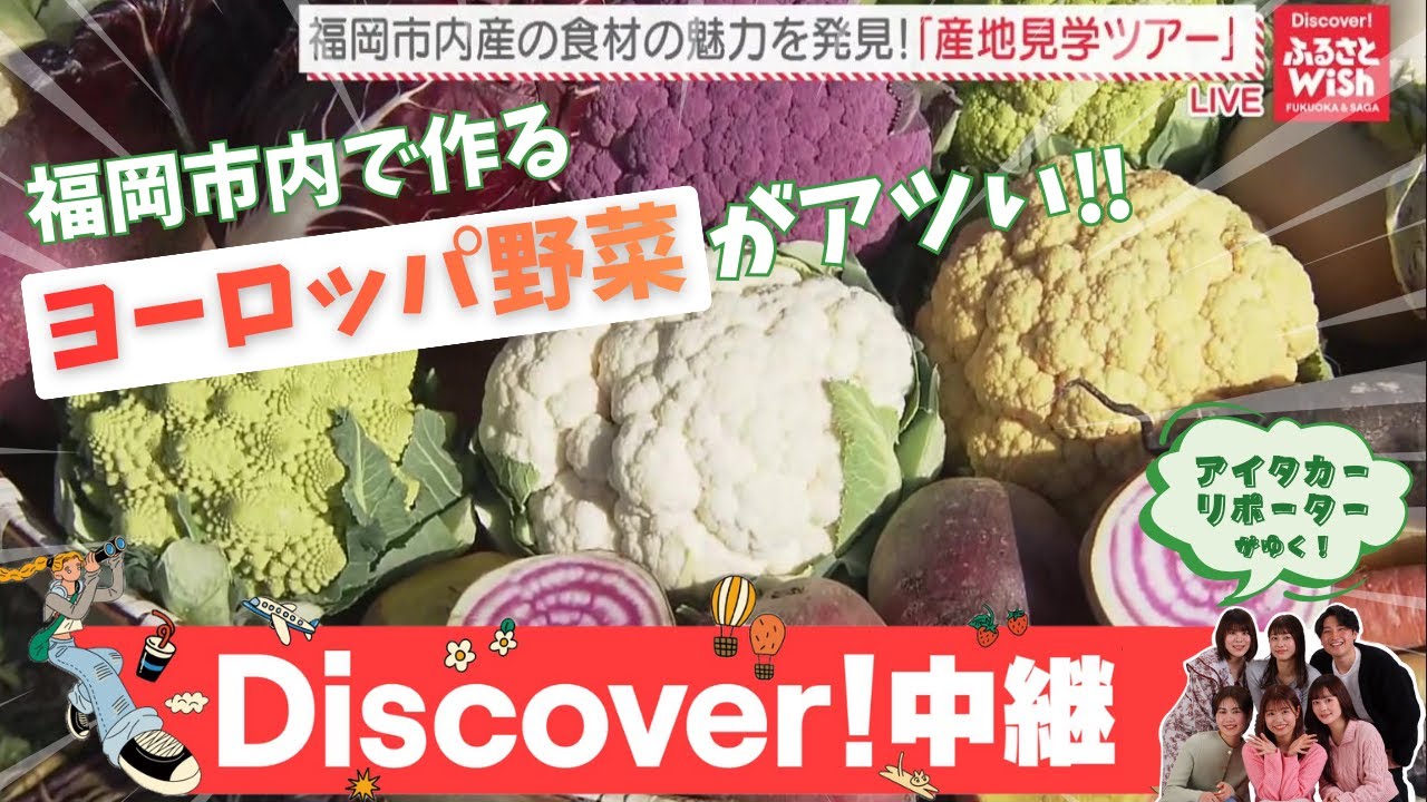 【ふるさとWish】食卓が劇的に華やぐ！「ヨーロッパ野菜」の魅力と、地元主婦が通う直売所の絶品グルメ！福岡市内産のおいしいが詰まった直売所「博多じょうもんさん 福重市場」（福岡市）