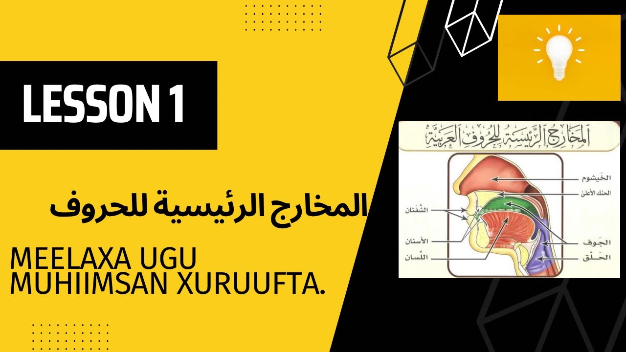 Tajweed | Lesson 1: المخارج الرئيسية للحروف Meelaxa ugu muhiimsaan xuruufta | Noor Academy
