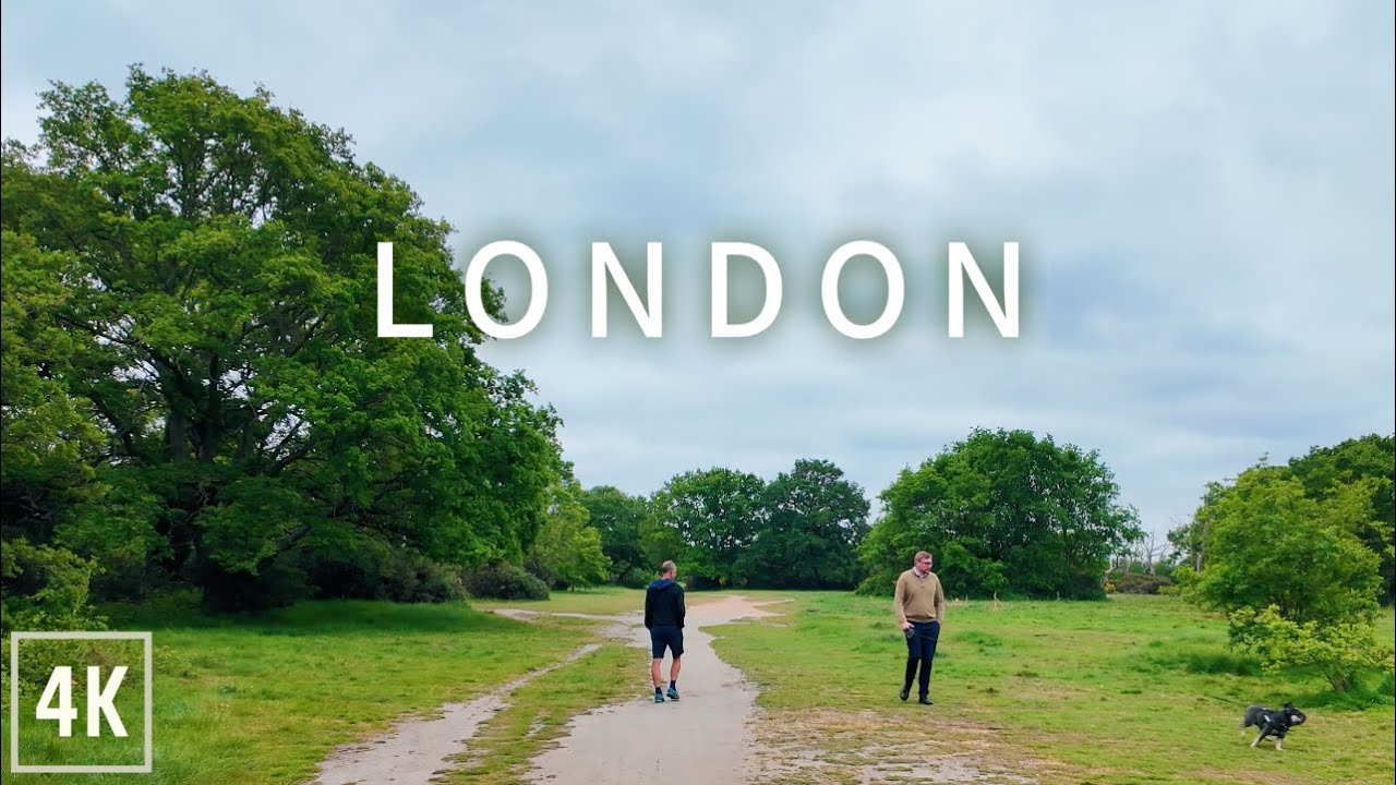 London Morning Walk Through Beautiful Epping Forest | Nature Sounds 4K