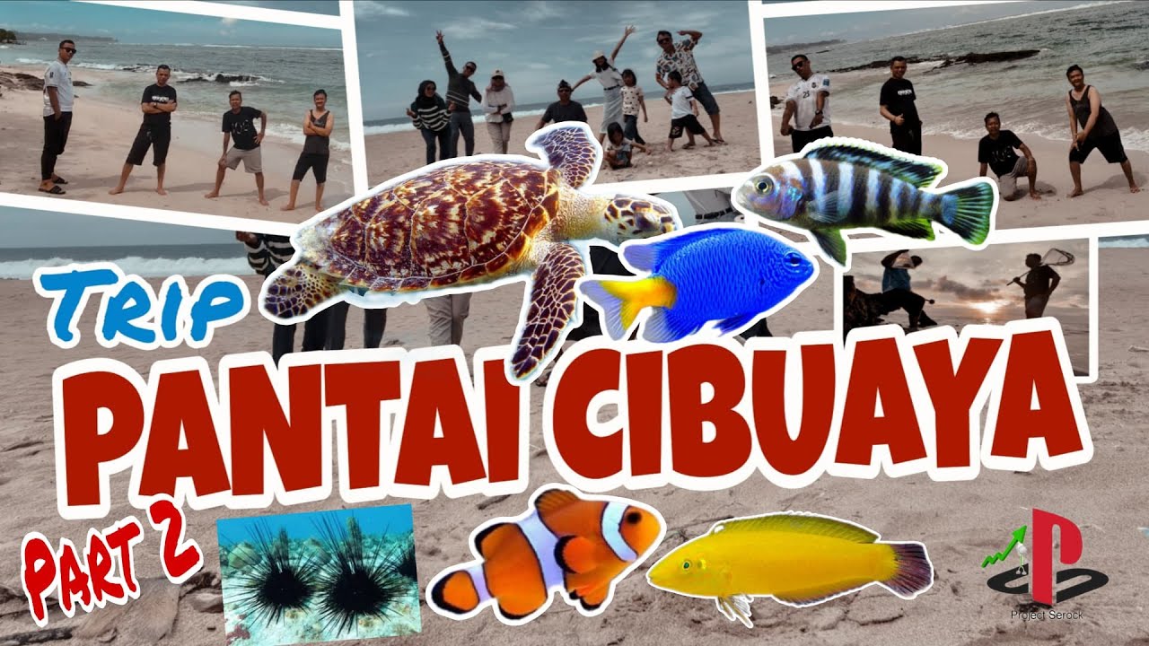 PANTAI CIBUAYA UJUNG GENTENG ✨ BERBURU IKAN HIAS LAUT 📌 #Part2 #peojectserock #hiburan #cibuaya