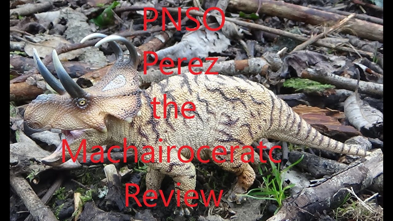 PNSO Perez the Machairoceratops