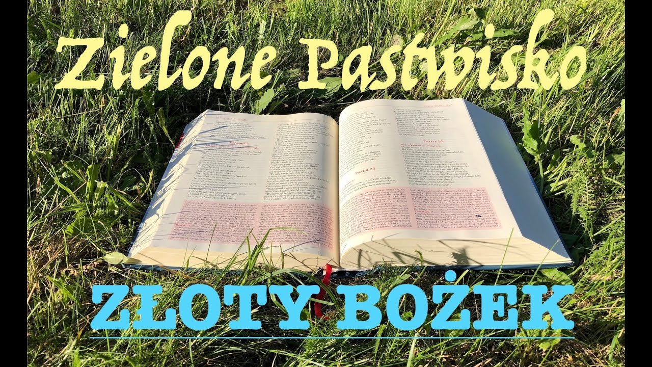 Zielone Pastwisko 3.04.2025 - &bdquo;ZŁOTY BOŻEK