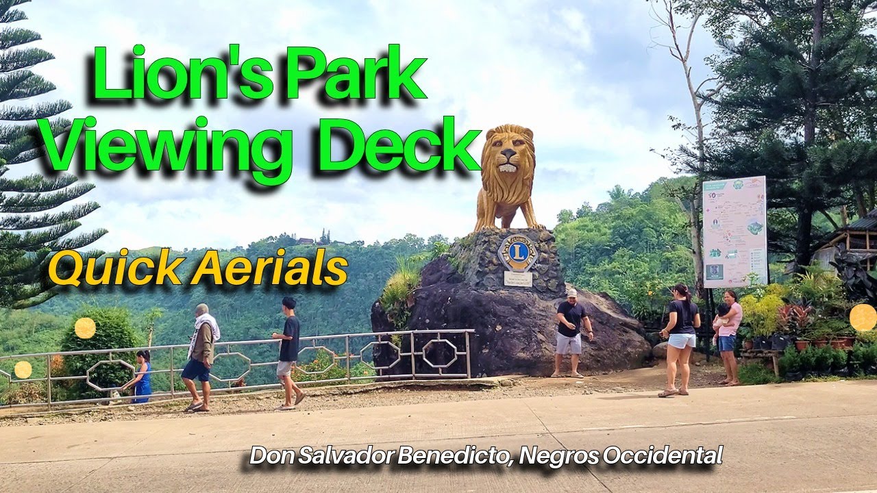 Don Salvador Benedicto's Lions's Park Viewing Deck Quick Aerials | Negros Places