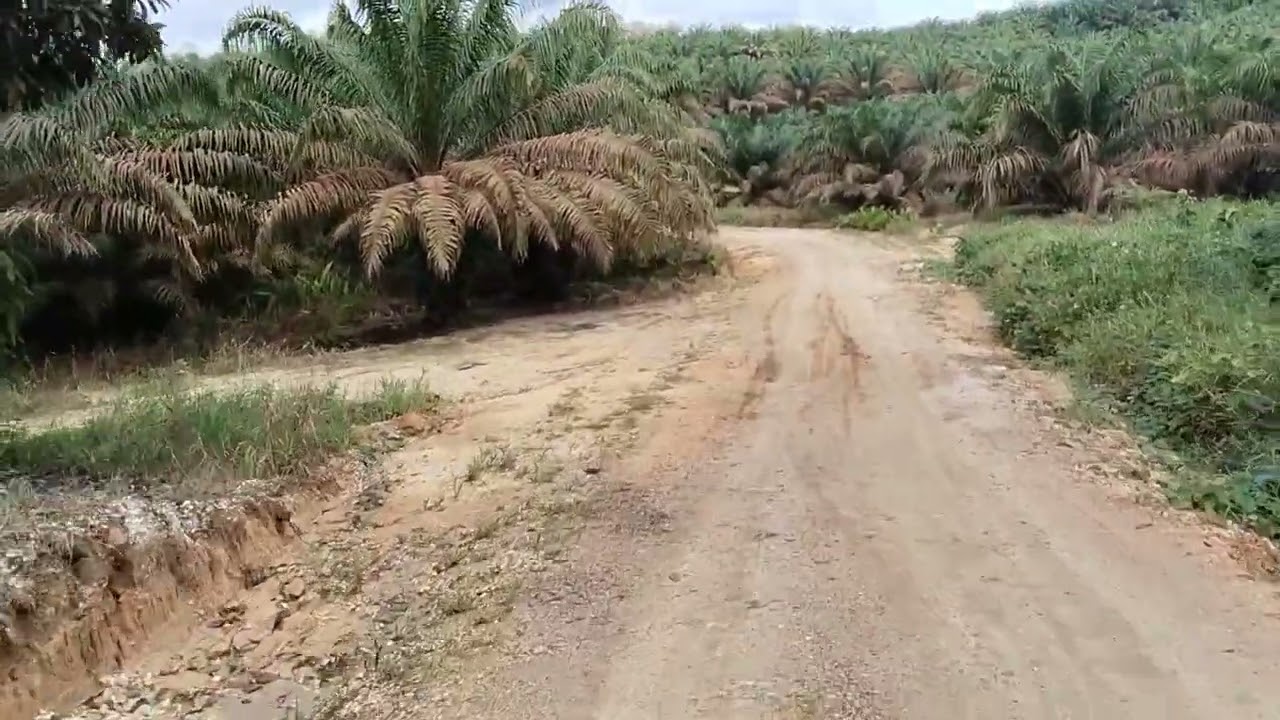 Satai Trans B, Subah - Pt1