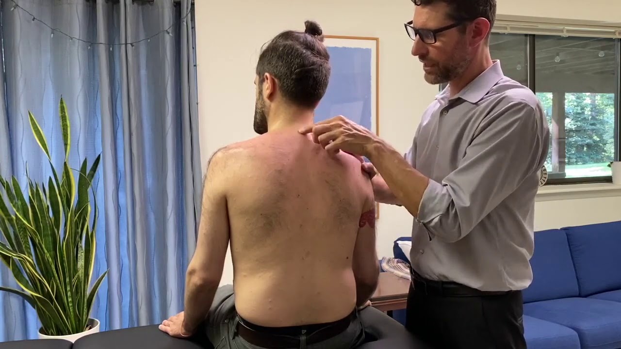 Levator Scapulae Muscle Test (E)