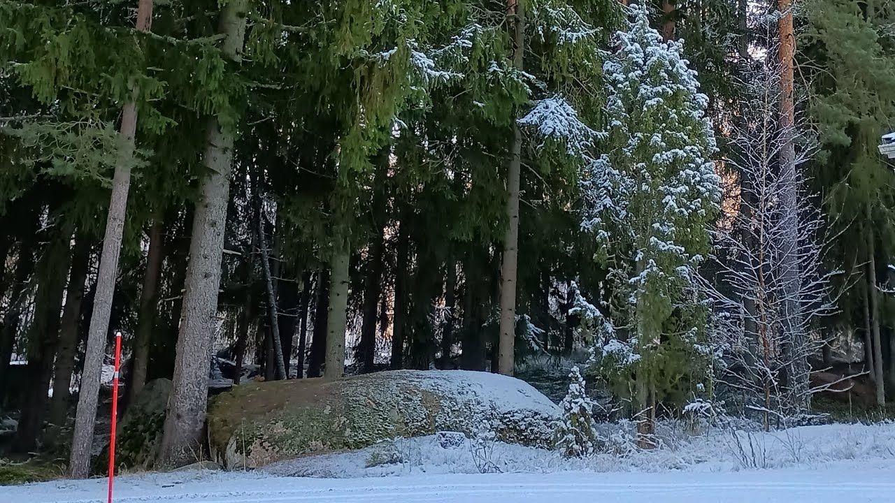 ДЕТСКИЕ САДЫ В ФИНЛЯНДИИ🌲: ПЛЮСЫ И МИНУСЫ
