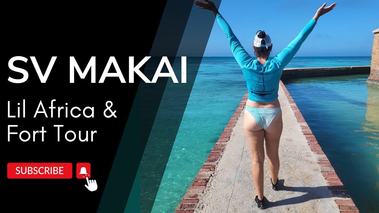 Epic Dry Tortugas Day: Snorkeling Little Africa & Exploring Fort Jefferson