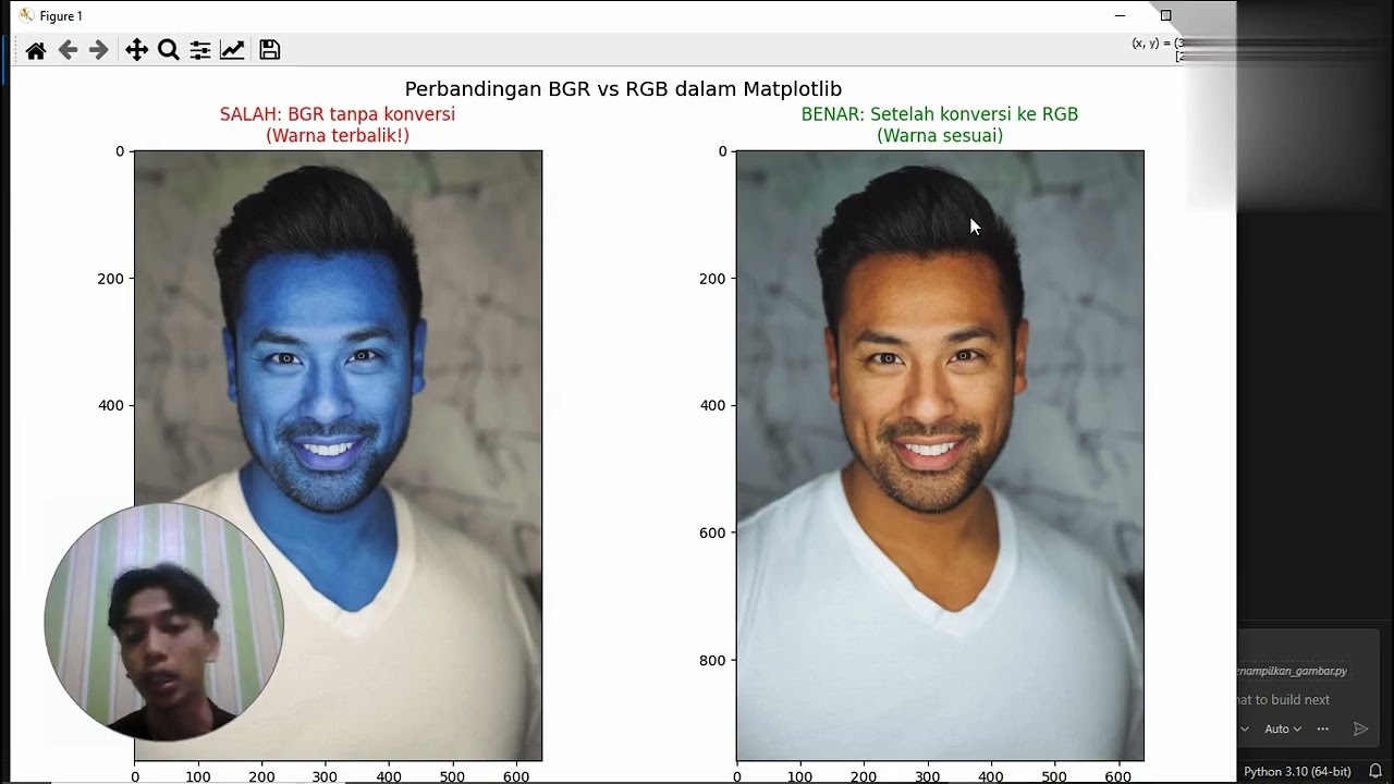 Belajar Image Processing Python dari Nol sampai Bisa!!!