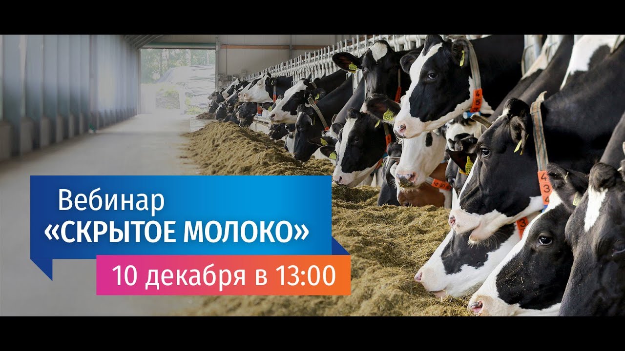 Вебинар 
