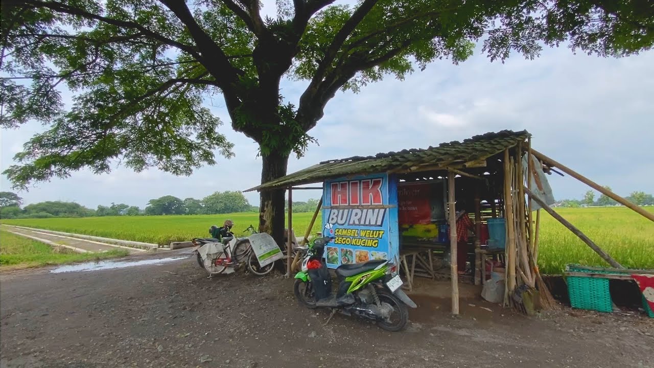 Angkringan Unik Nasi Sambel Belut Pinggir Persawahan
