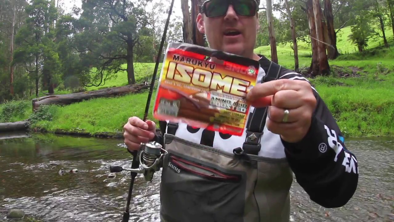 Trout on Marukyu Isome