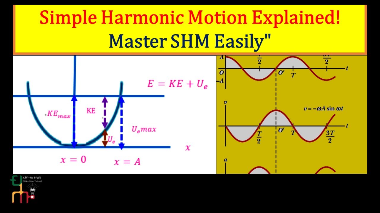 Simple Harmonic Motion: Concepts, Formulas, & Problem Solving.