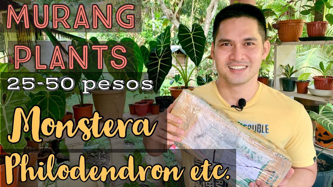 UNBOXING MY FIRST PLANT MAIL | MURANG SELLER NG PLANTS FROM MINDANAO | LEGIT ONLINE SELLER