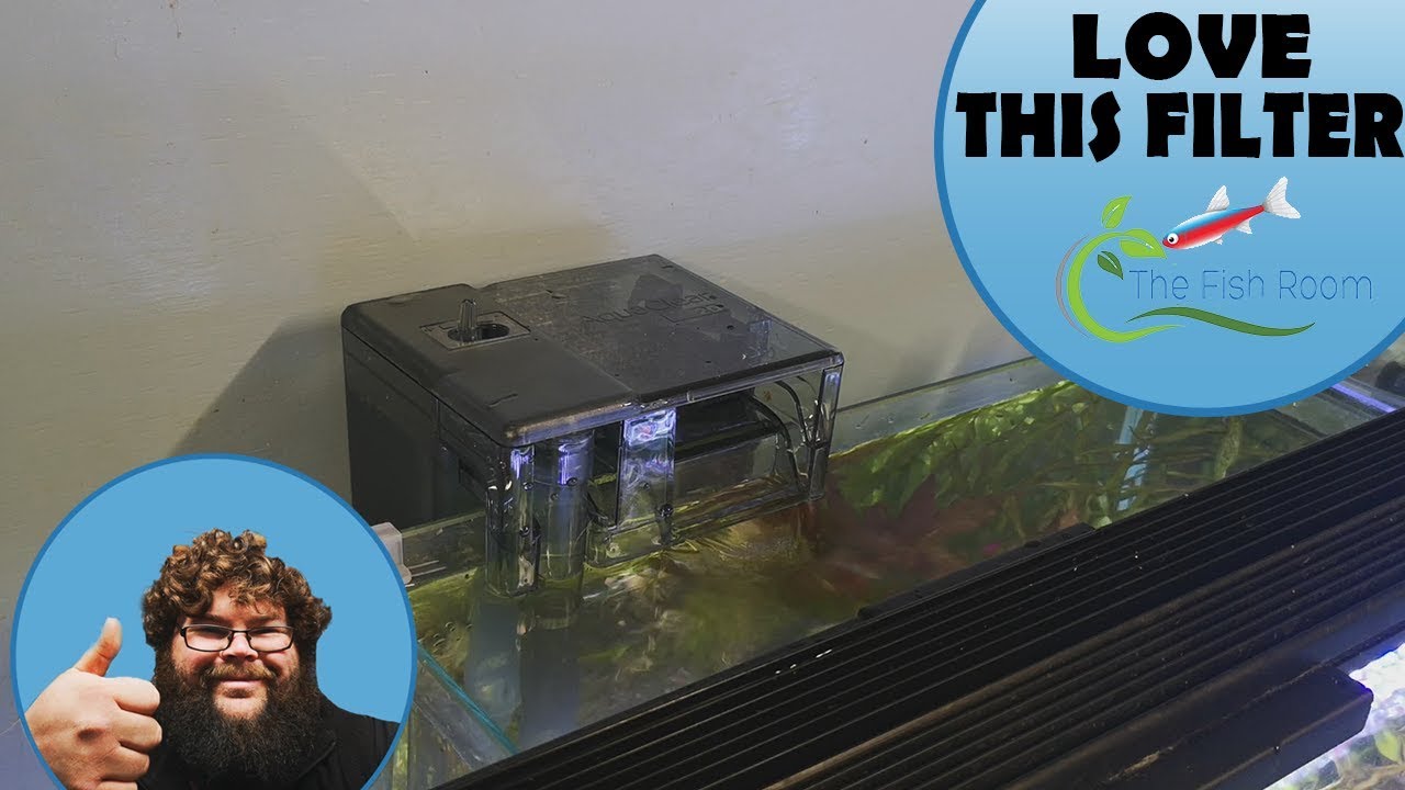 Aqua Clear Hang on Back Filter Review.