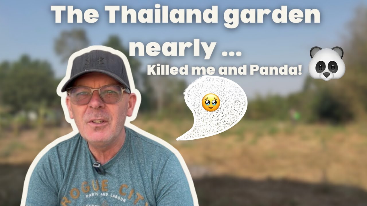 The Thailand garden nearly killed me and Panda🐼🌿😪|Will x Ben adventures