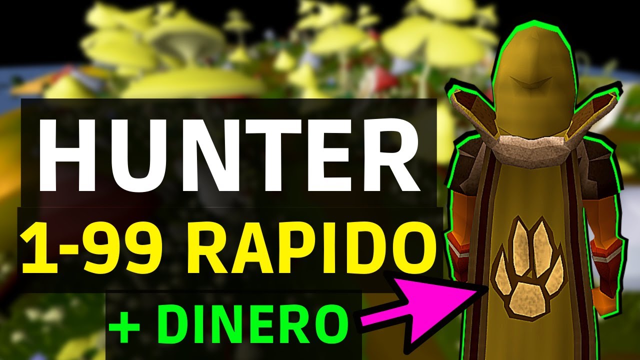 Guia Como Subir HUNTER 1 a 99 RAPIDO member Quest Varrock Museum Basement Old School Runescape 2023