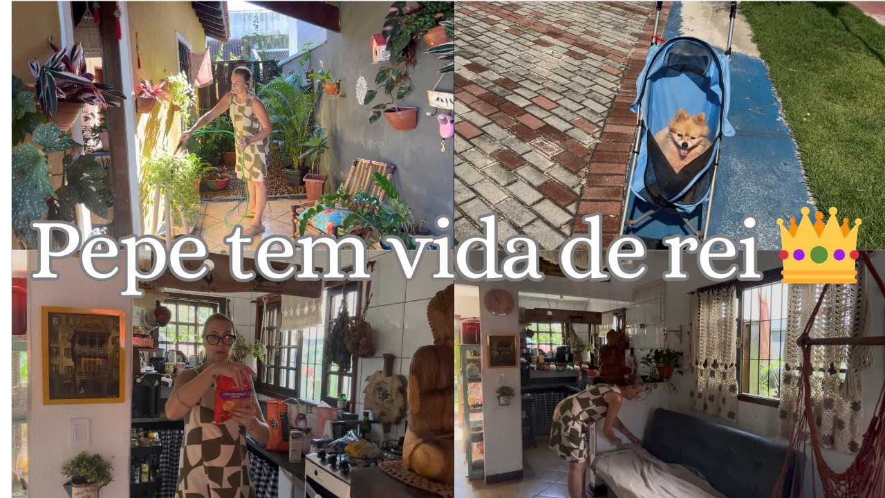 O ☀️ voltou ! / Dia de muito trabalho na casa 🏡 