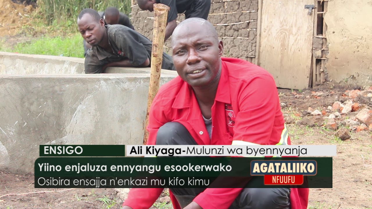 ENSIGO:Yiino enjaluza ennyangu esookerwako.Osibira ensajja n'enkazi mu kifo kimu