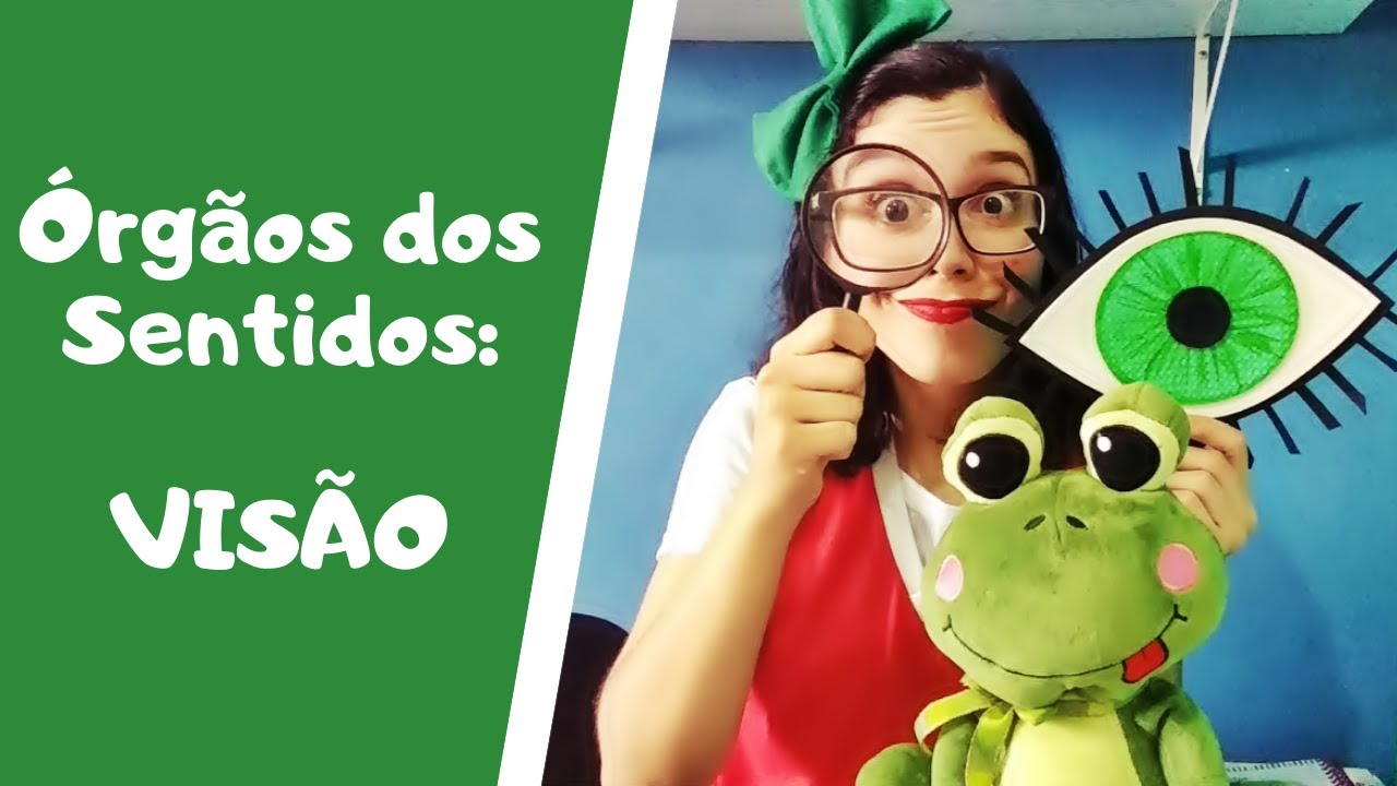 Órgãos dos Sentidos: VISÃO