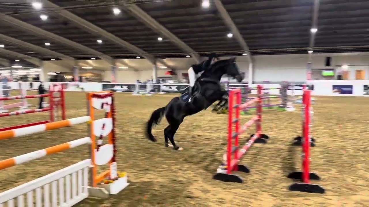 Keep In Mind winter Grand Prix 1m45