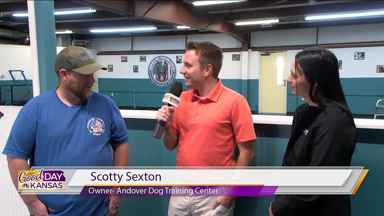 Andover Dog Training Center
