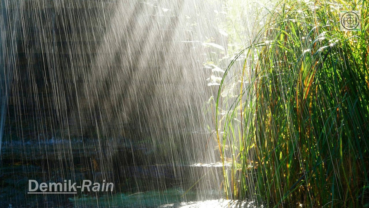 Demik Rain