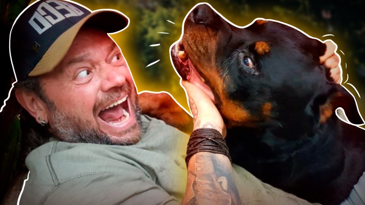 ROTTWEILER, O CACHORRO DO DEMÔNIO! | RICHARD RASMUSSEN
