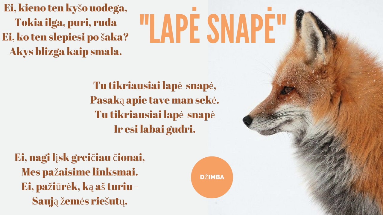DŽIMBA SU TAJA - Lapė snapė