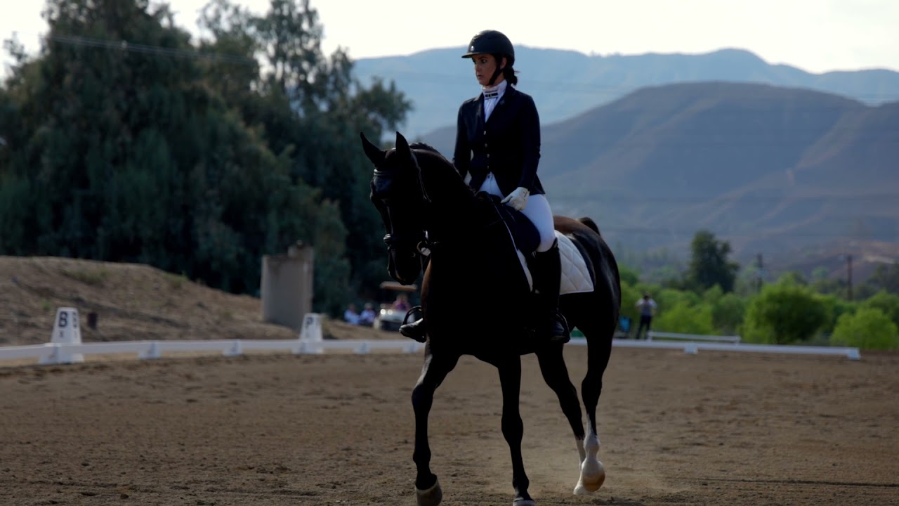 Nifty RCAHA Fall Show 2021