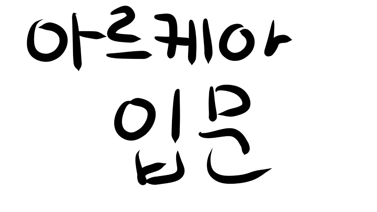 아르케아 입문
