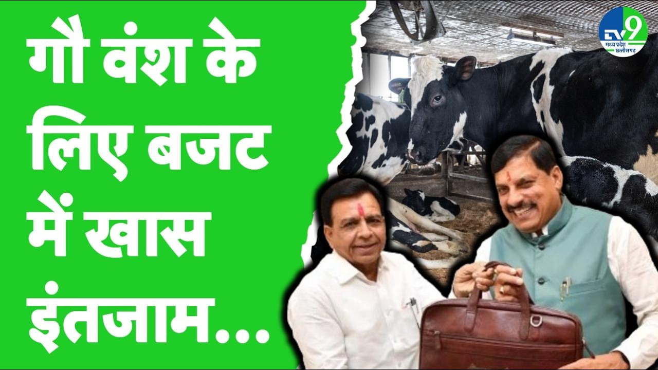 MP Budget 2026: Jagdish Devda ने बजट में गौ वंश और डेयरी उद्योग के लिए इन योजनाओं का किया एलान