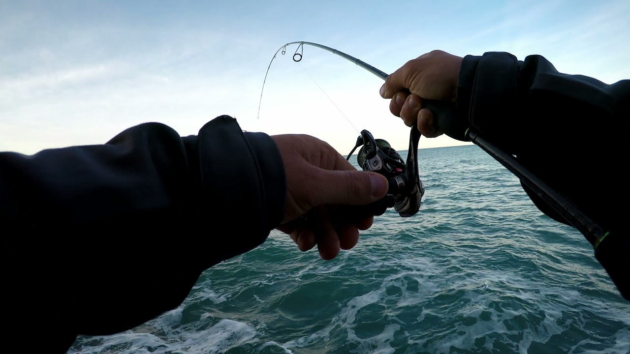 MaxRap Walk n Roll 10 #rapala #rapalawalknroll