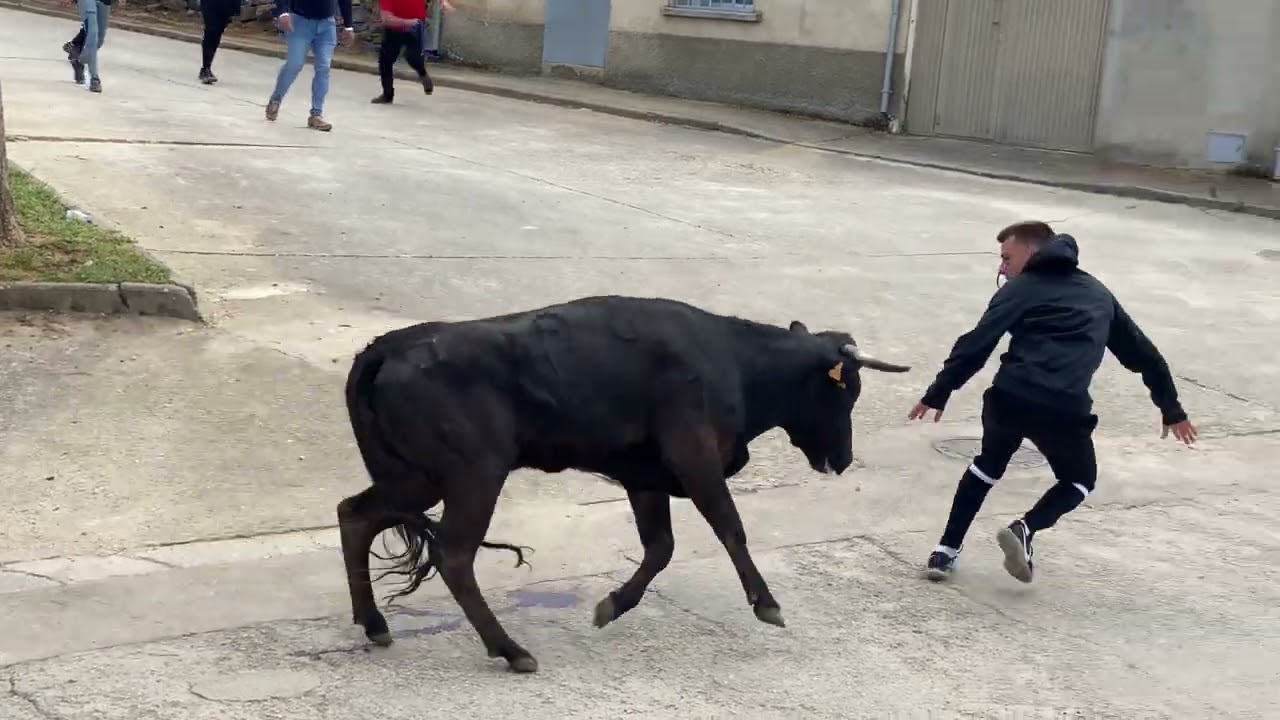 Sustos y risas en Olmedo de Camaces 2023