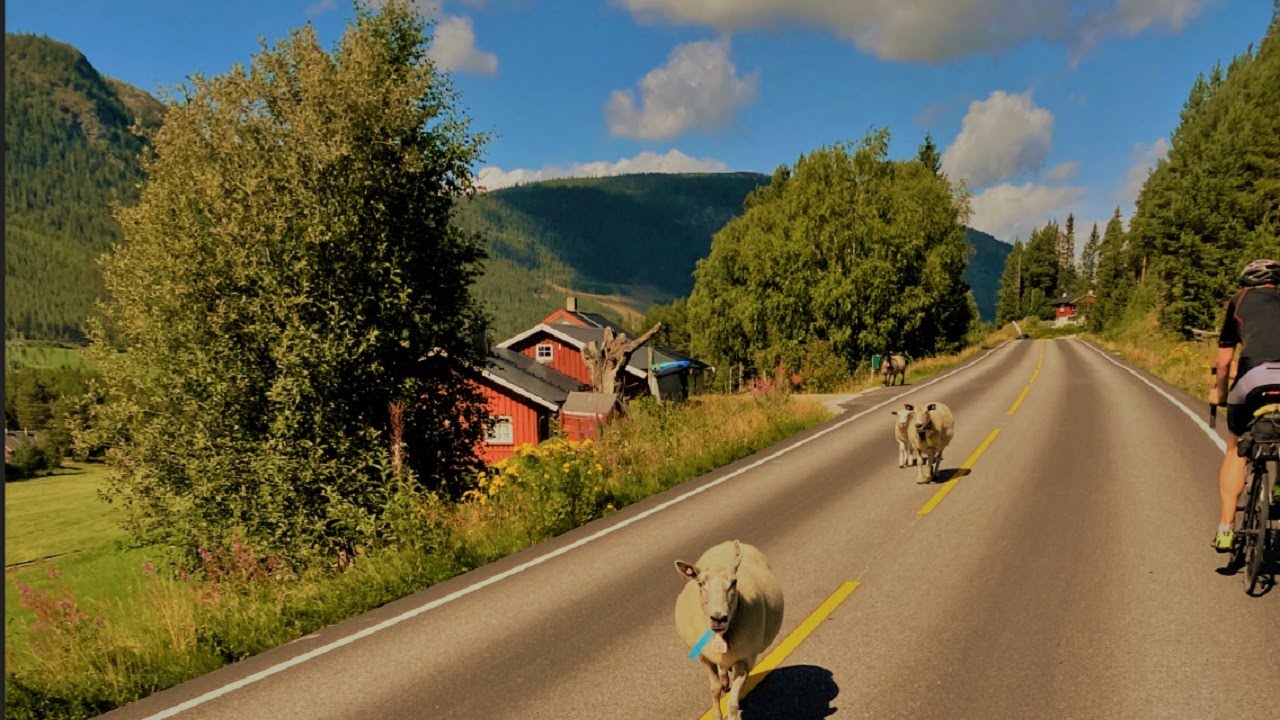Mit dem Fahrrad zum Nordkap |Teil 1| Hamburg - Trondheim | 1000km in 7 days