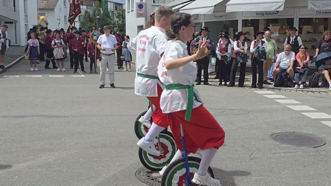 Laupheimer Heimatfest Festumzug 2024